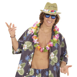 Pánský slamák fedora